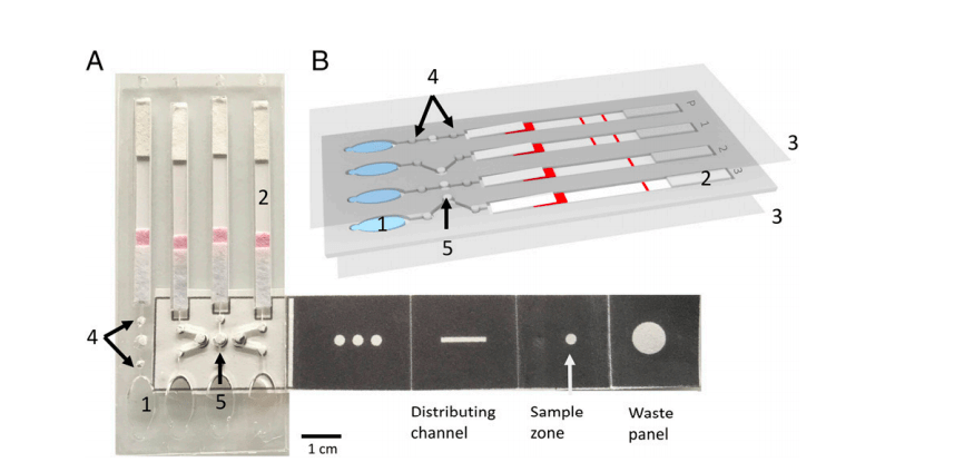 Strip of paper-like object helped diagnose malaria in Uganda